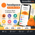 The Headspace Premium ad features the Headspace app interface, mascot, icons representing meditation, sleep, and mindfulness activities, along with pricing plans: $3.99 for 1 month, $9.99 for 3 months, $16.99 for 6 months, and $29.99 for 1 year.